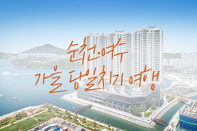 무르익은 가을을 맛보러 떠나자! 🍁 순천~여수 가을 당일치기 여행