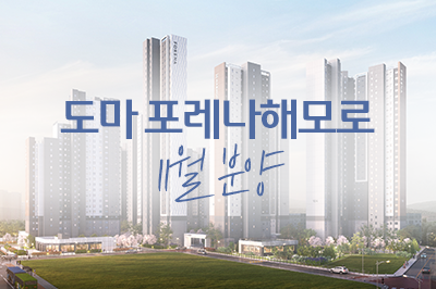 11월에 큰 거 온다! 🏢 도마 포레나해모로 분양