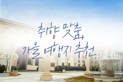 짧더라도, 낭만 가득한 가을여행은 놓칠 수 없으니까!🍂