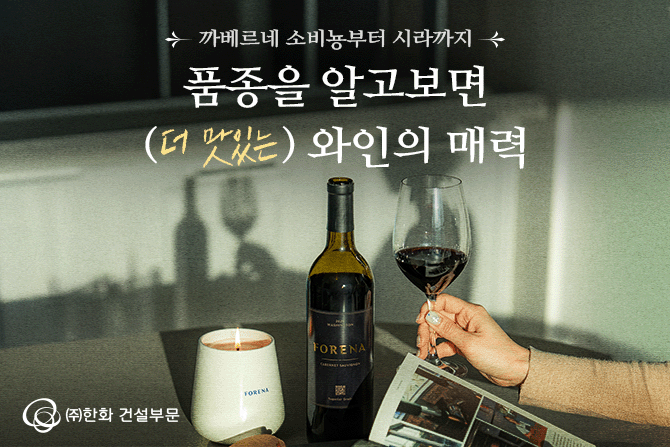한화포레나와 함께 와인의 세계로 빠져보세요~🍷