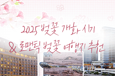 봄 바람 휘날리며~사랑이 싹트는 로맨틱한 벚꽃 여행지는?🌸